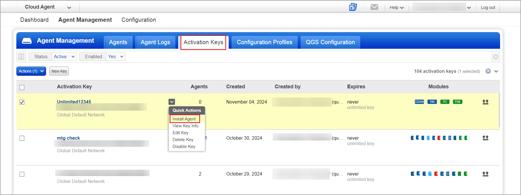 Install Cloud Agent using an available activation key..