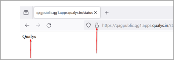 connection to Qualys platform