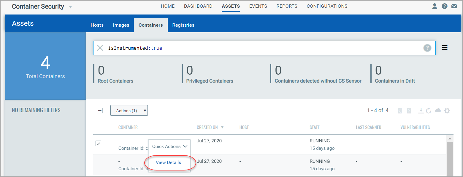 View details for container with instrumented image