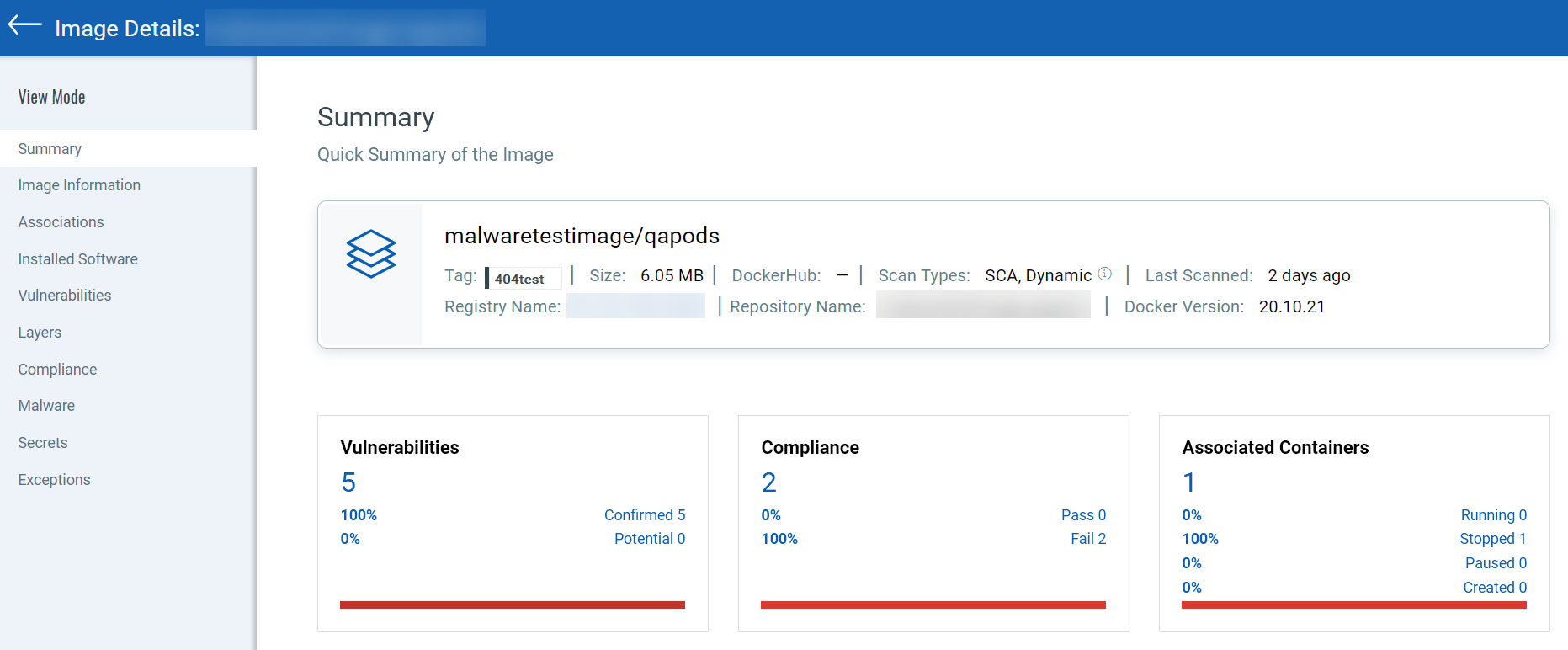 Summary section of Image Details