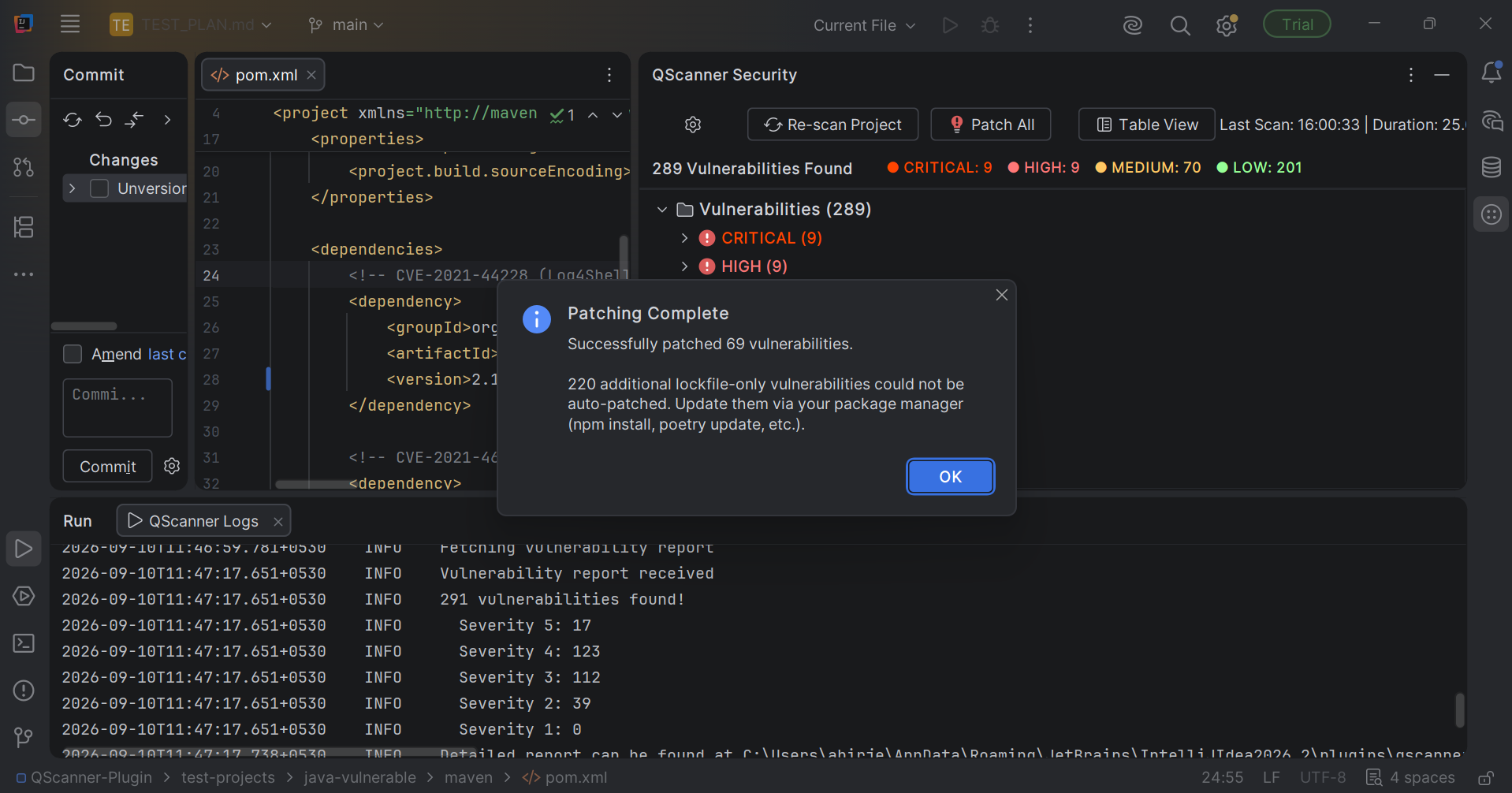 Patching Complete dialog showing successfully patched vulnerabilities