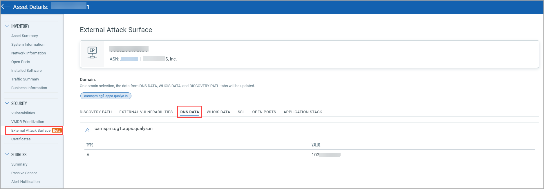 EASM Asset Details DNS Data