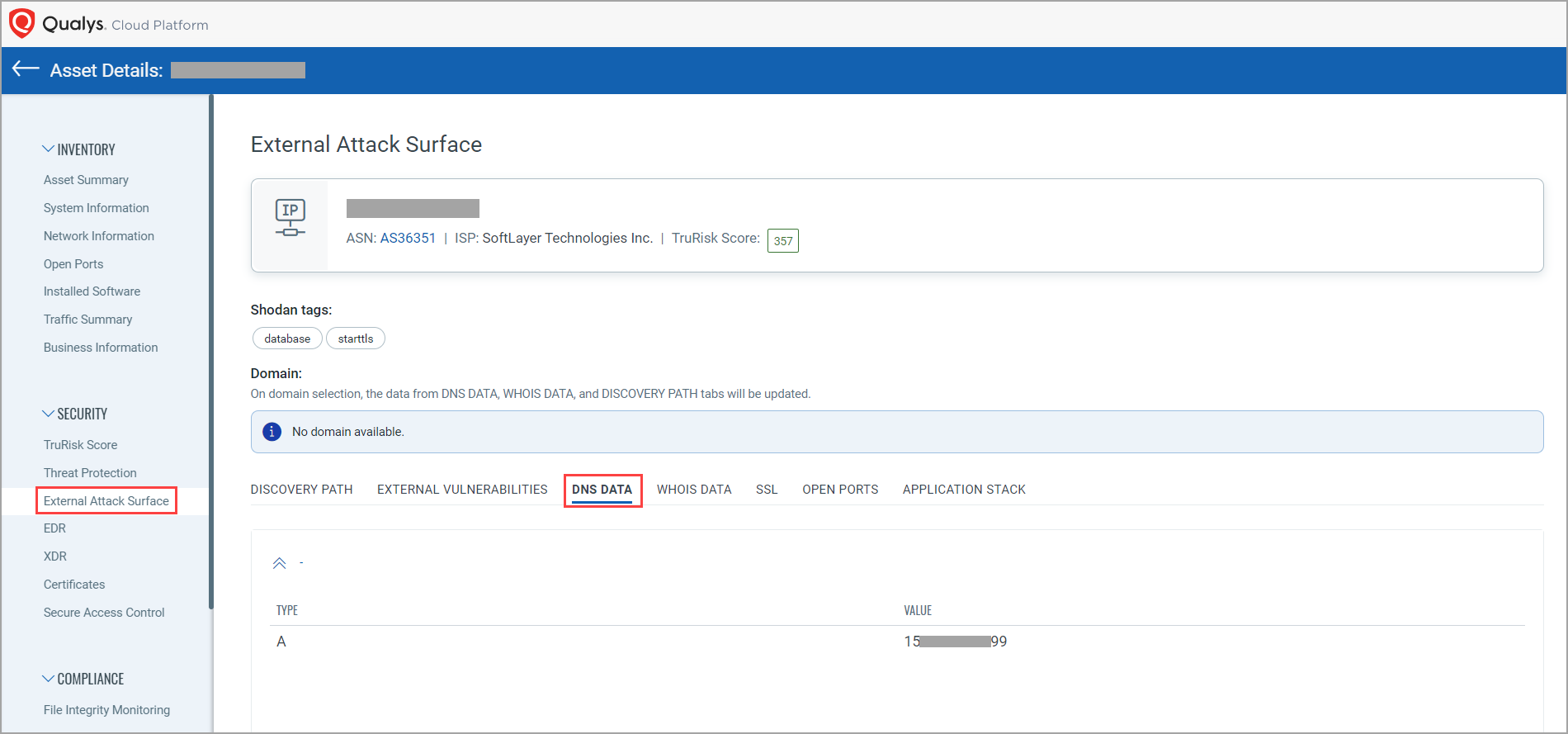 EASM Asset Details DNS Data