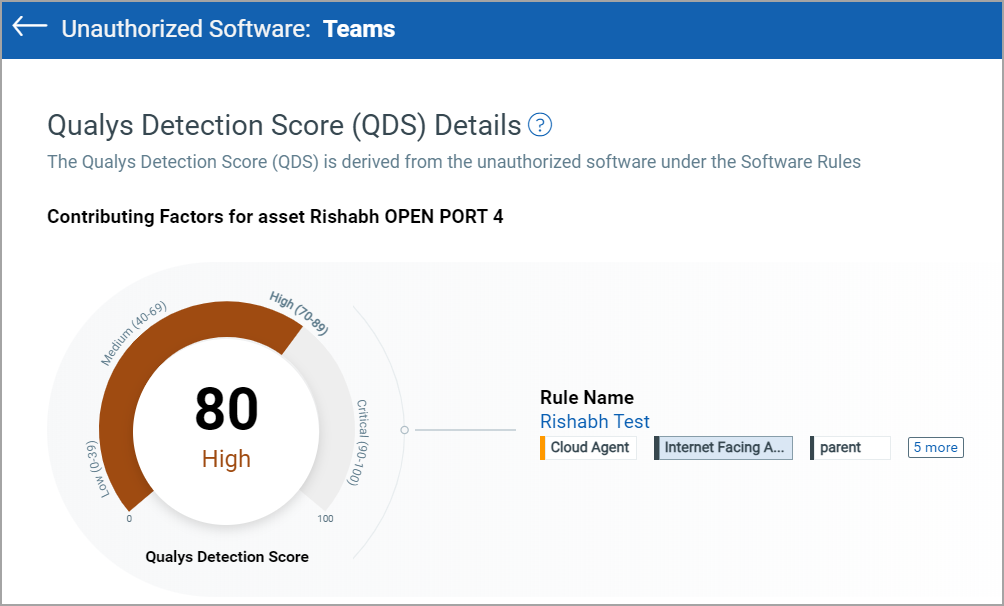QDS Details - Unauthorized Software.