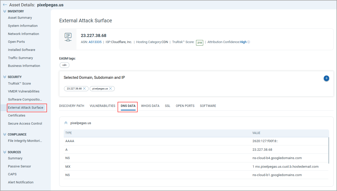EASM Asset Details DNS Data