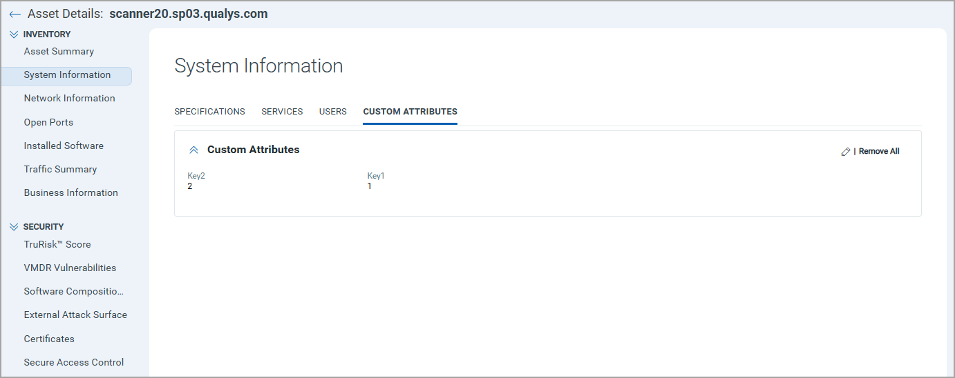 Custom Attributes Added for an Asset.