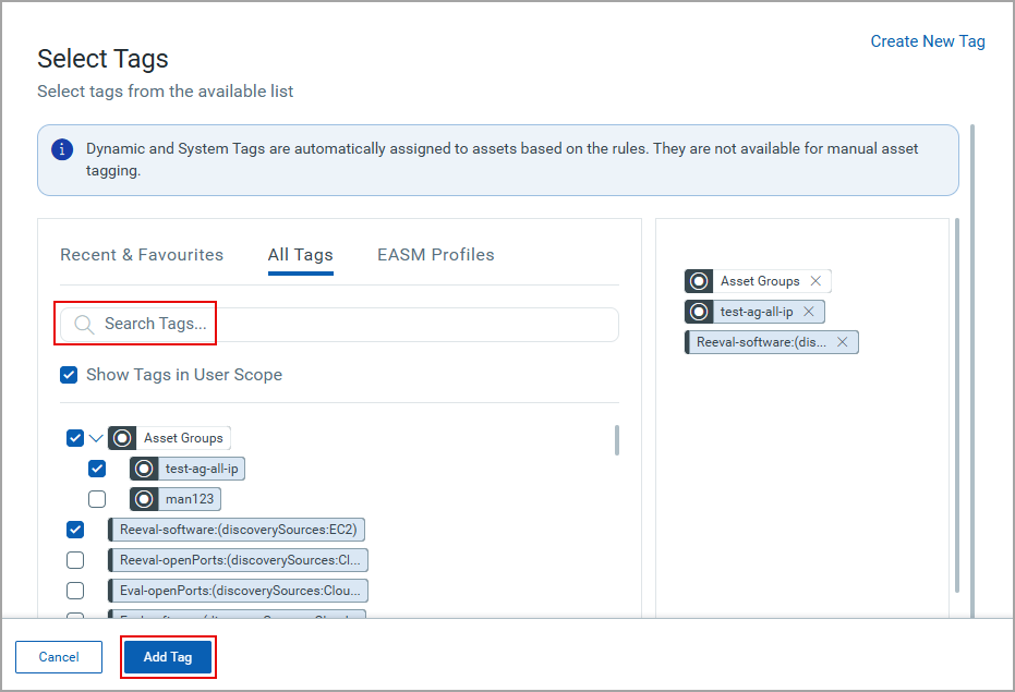 EASM Report Select Tags