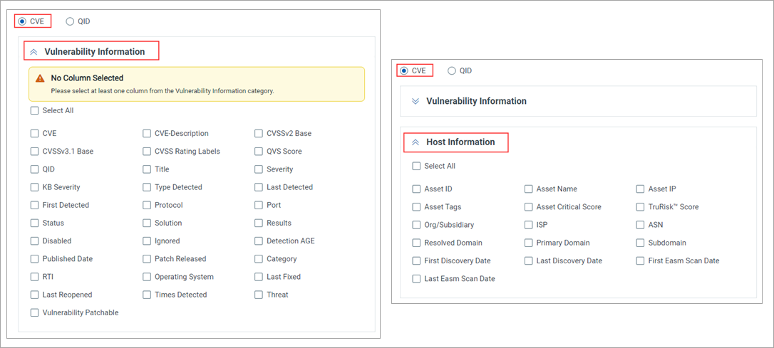 Host Information and Vulnerability Information checkboxes.