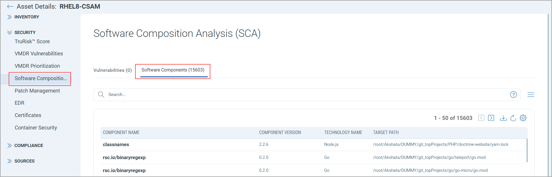 Asset Details Page - SCA tab details.