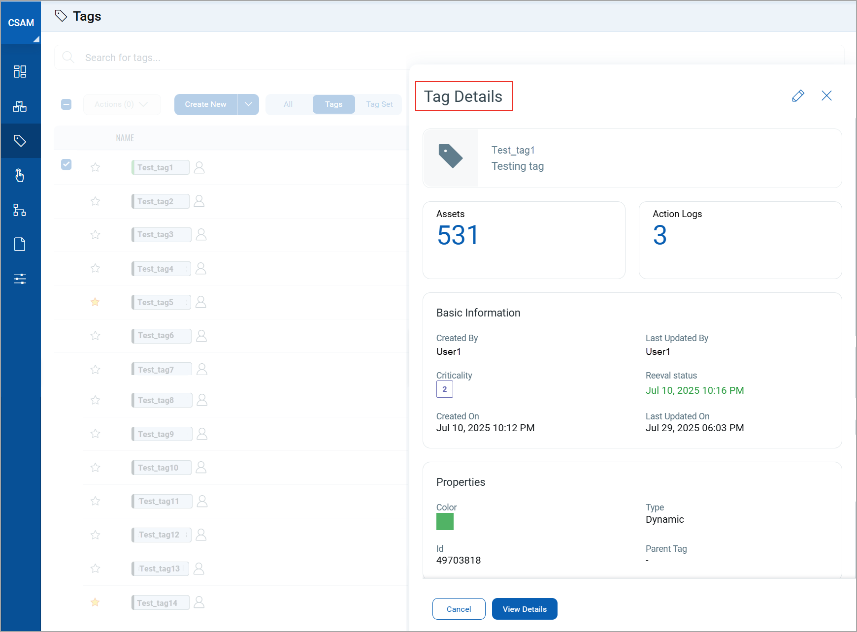 Pane showing tag details.