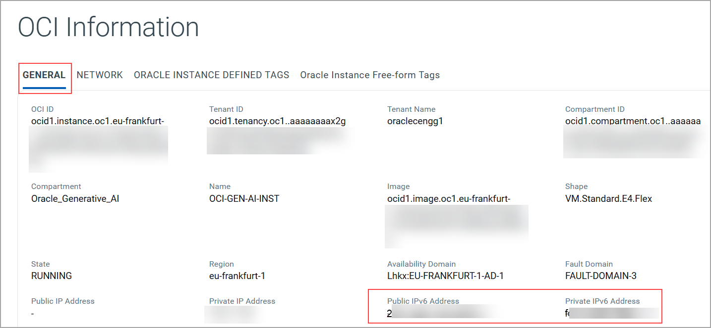 OCI asset IPv6 address details