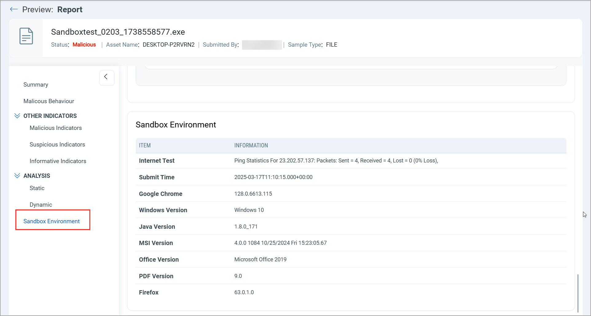 Understand the test setup and conditions for executing and analyzing the file.