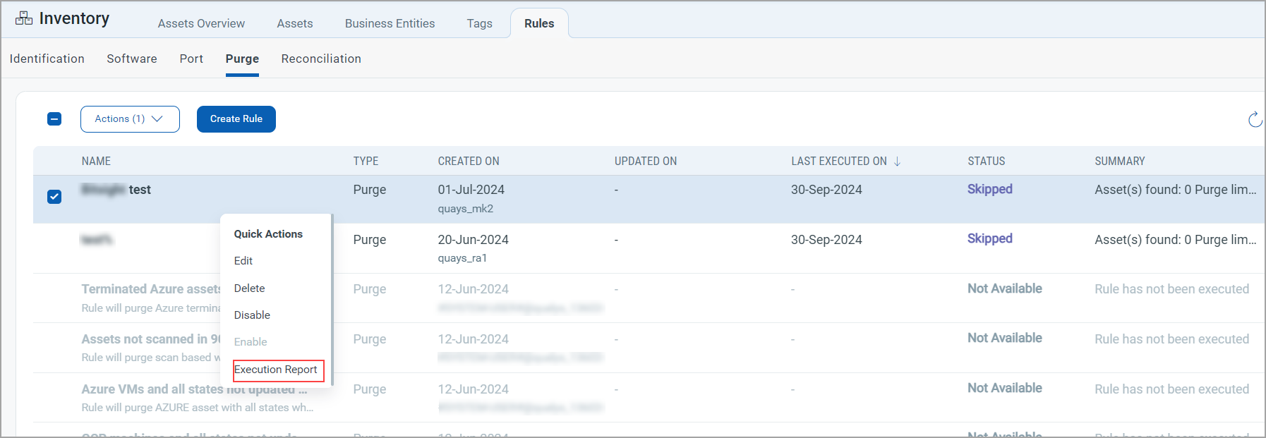 Execution Report option.