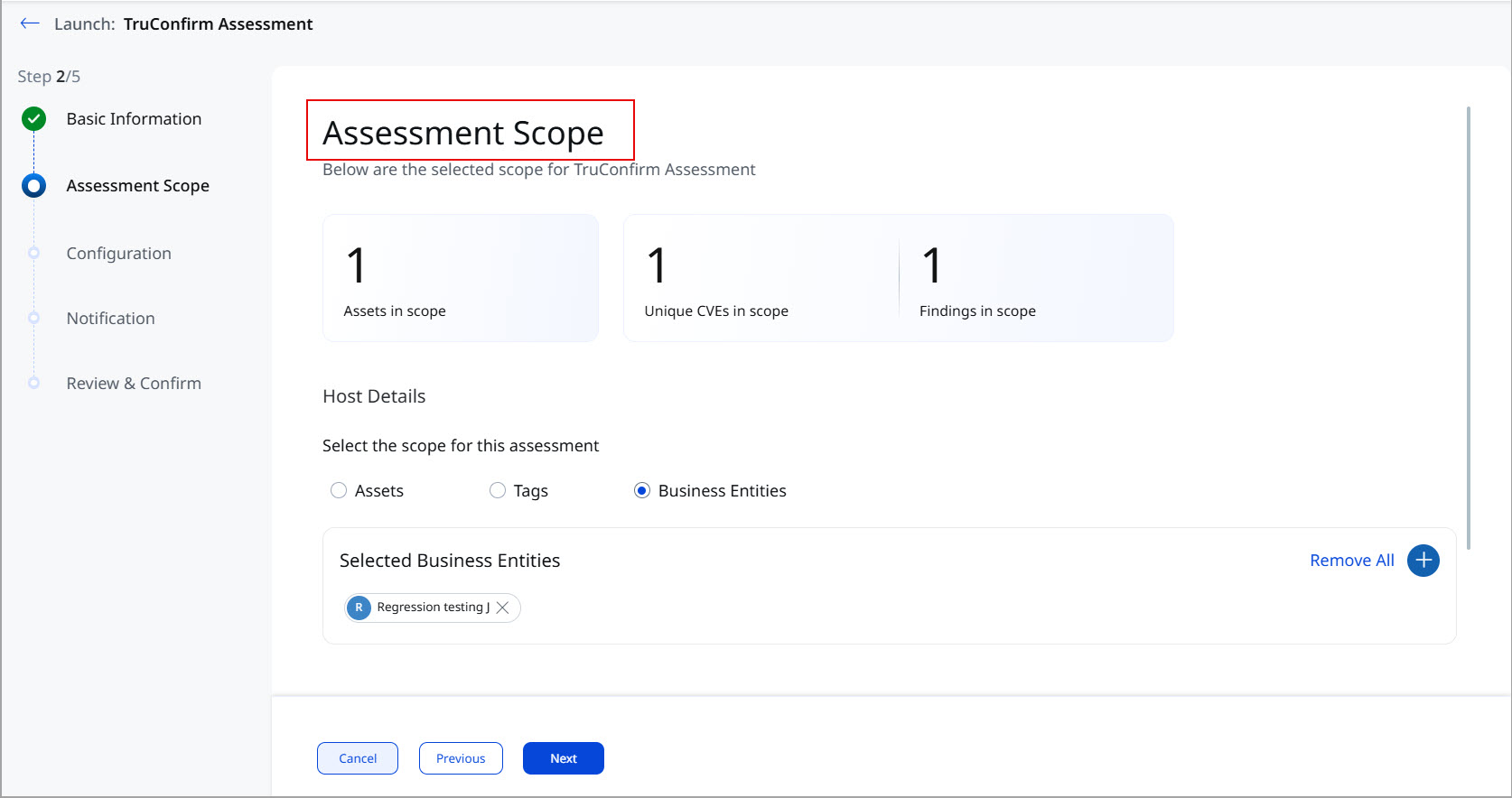 The assessment scope provides list of assets and tags