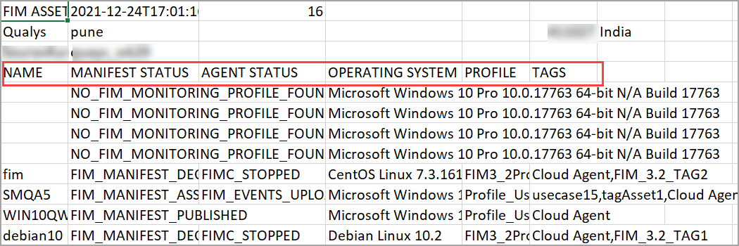 Asset Report