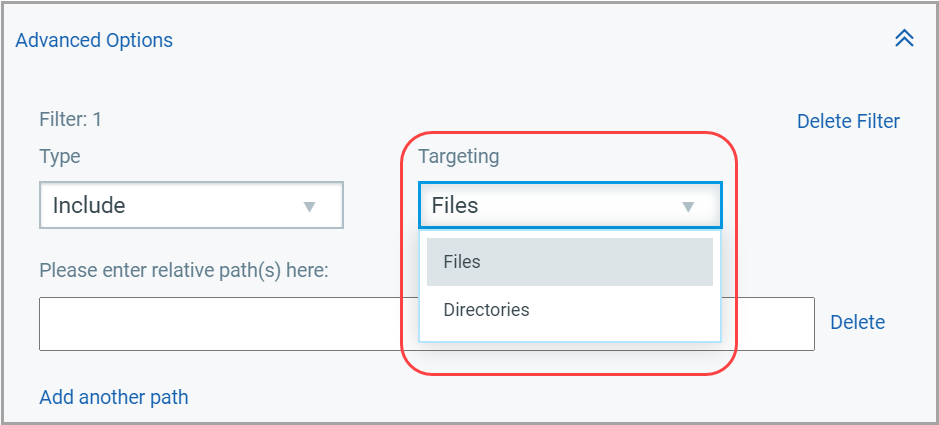 Advanced option