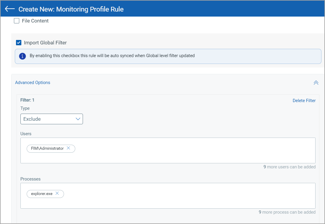 Image of the Import Global Filter