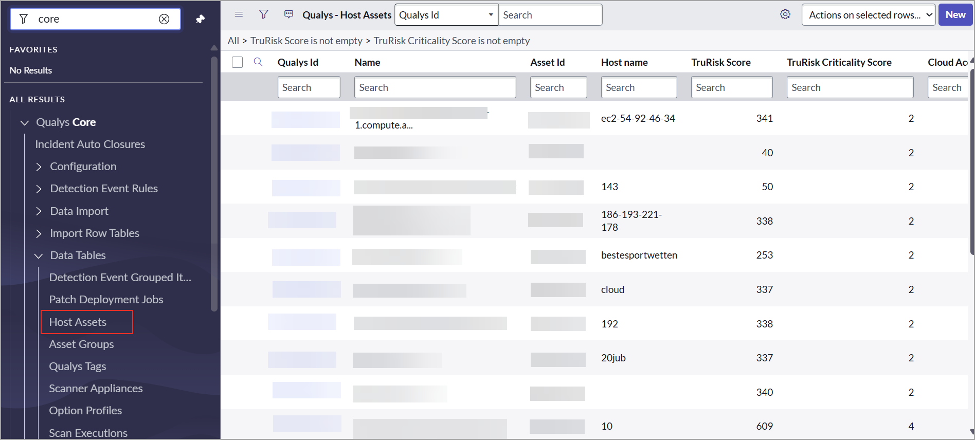 Host Asset data table.