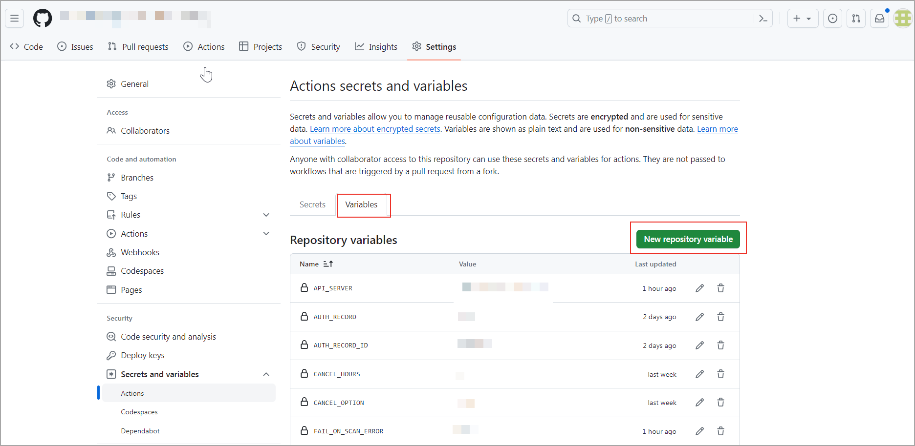 Image shows repository variable set-up pane.