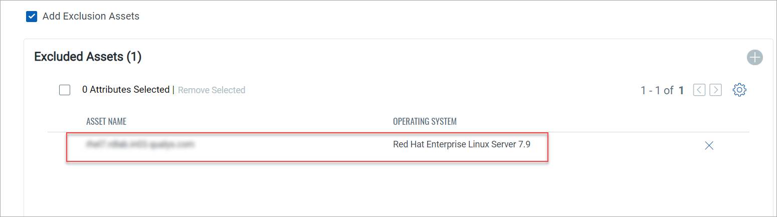 Excluded assets section.