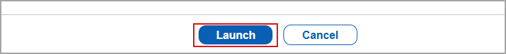 launching the debug scan.