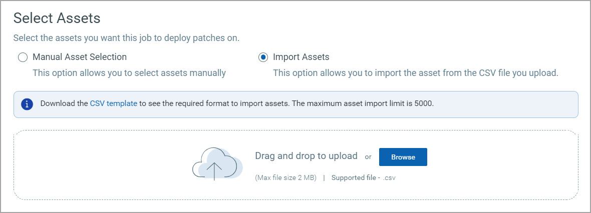 Import Assets from the CSV file.