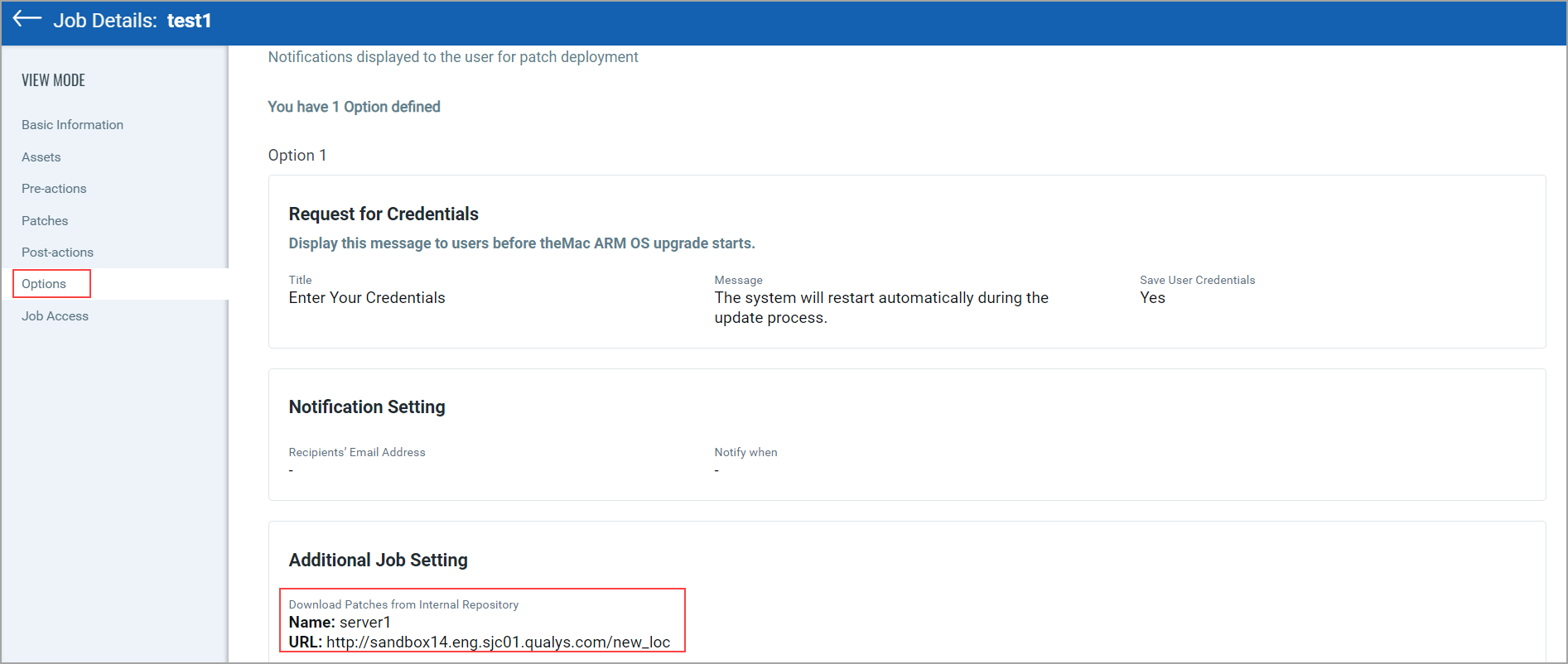 Internal repository server details - Mac Options tab.