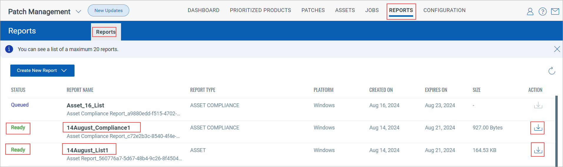 Assets Report Ready for Download.