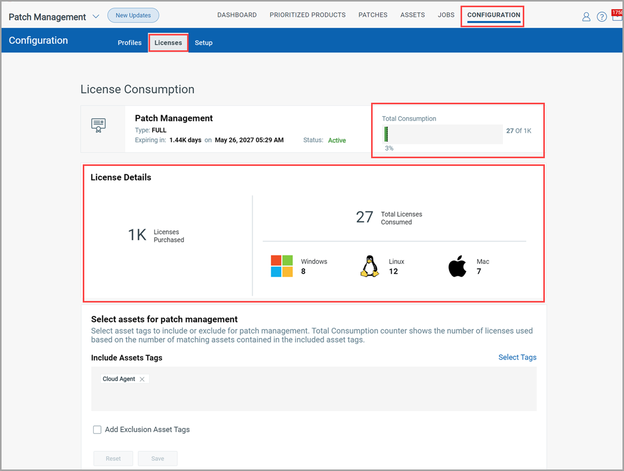 Licenses  consumption details.