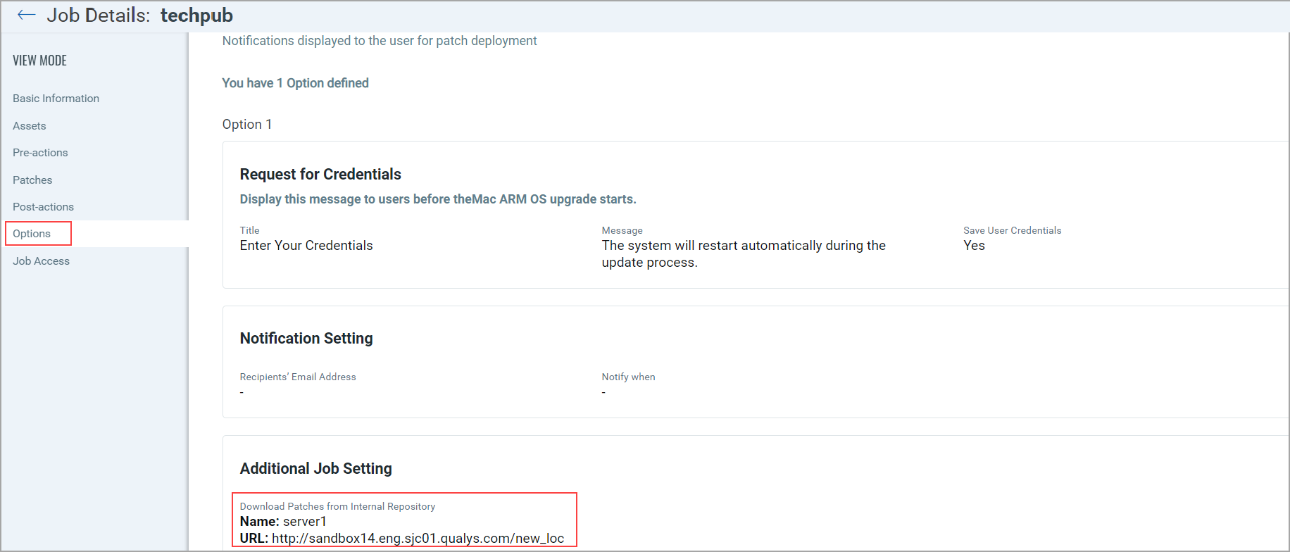 Internal repository server details - Mac Options tab.