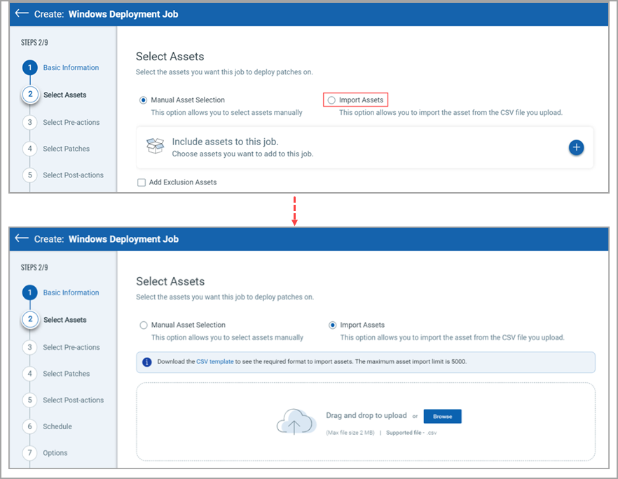 Import Assets from the CSV file.