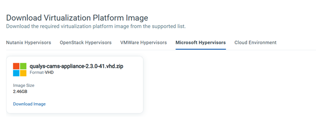 Download VP Image for Microsoft