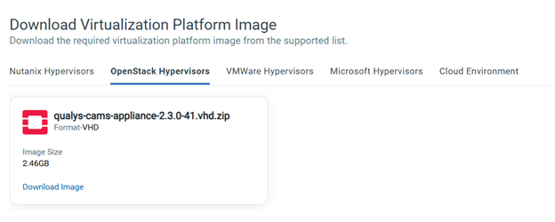 Download VP Image for OpenStack