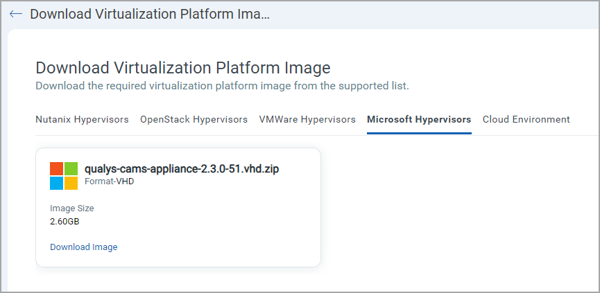 Download VP Image for Microsoft