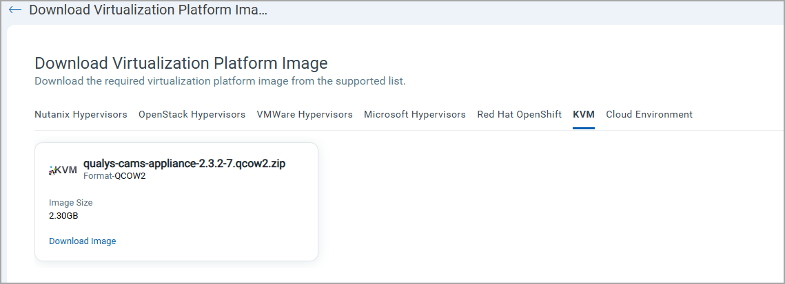 Download VP Image for Microsoft