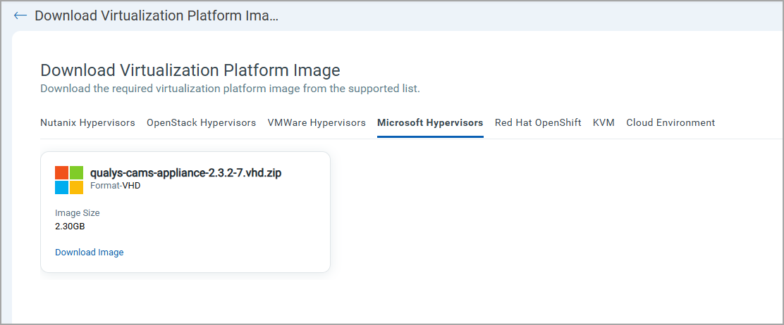 Download VP Image for Microsoft
