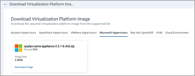 Microsoft Hypervisor