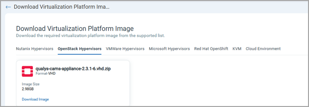 Openstack Hypervisor