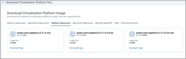 VMWare Hypervisor
