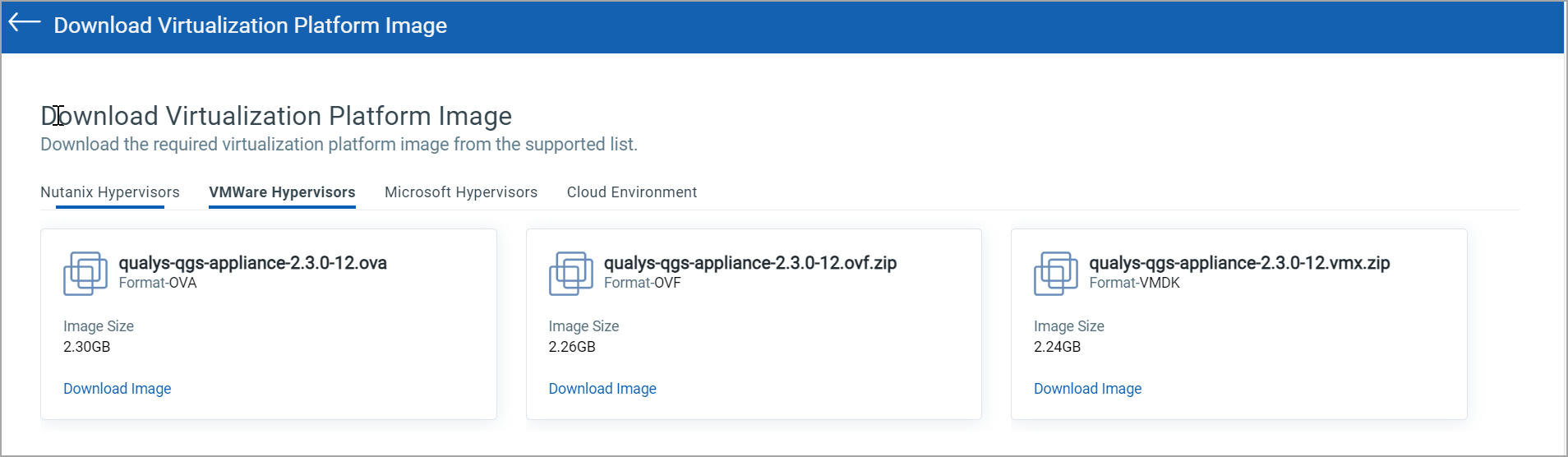 VMWare hypervisor appliance platform image