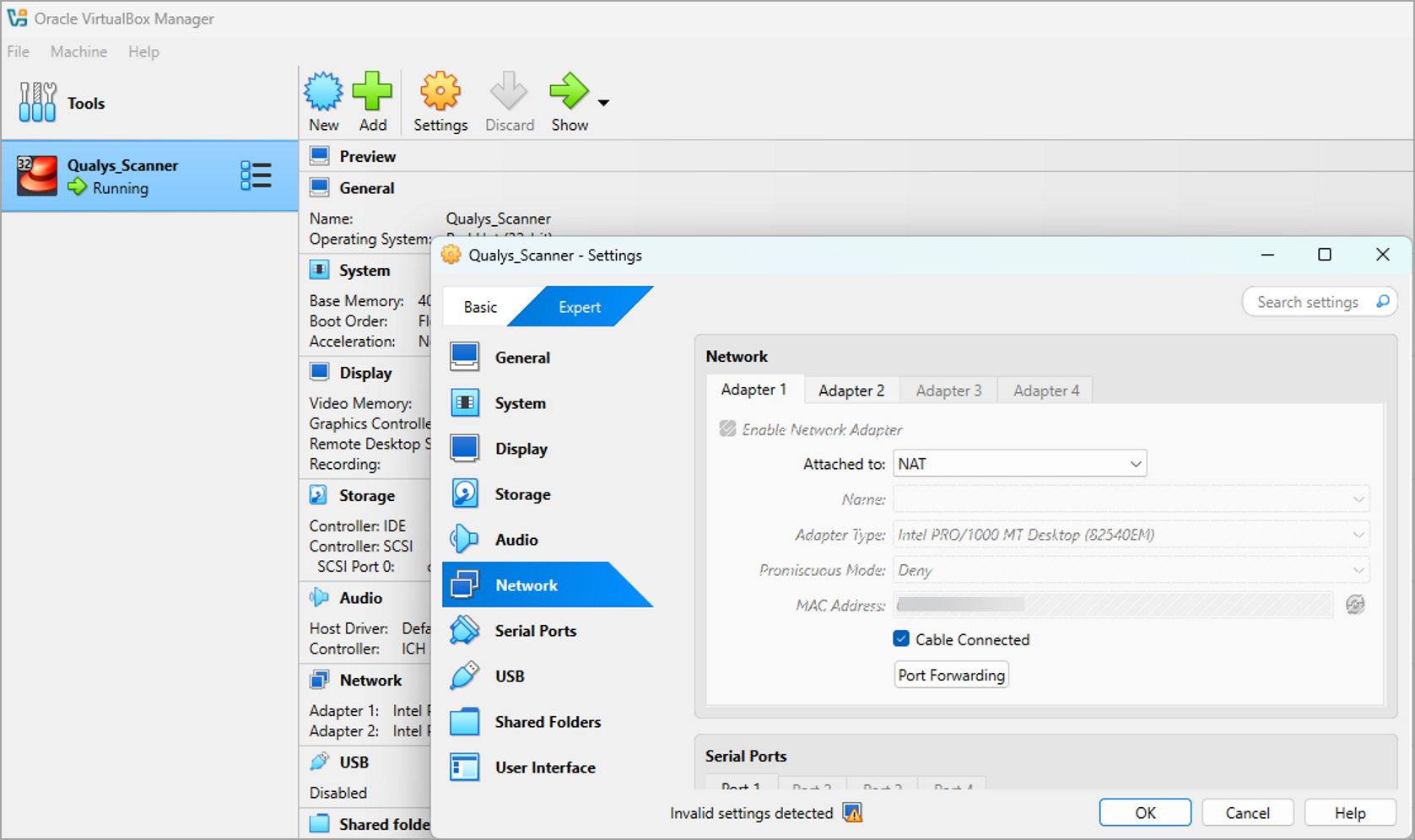 NAT Mode for Adapter 1 setting.