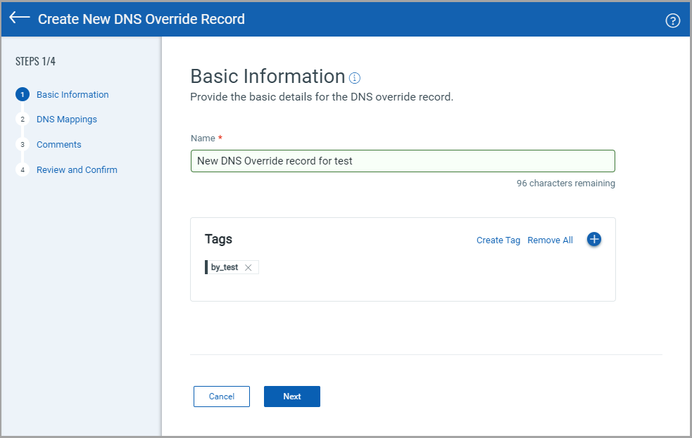 create dns override record basic information.
