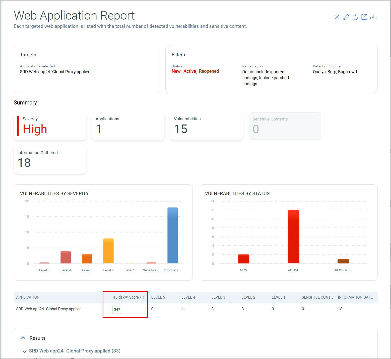sample web application report.