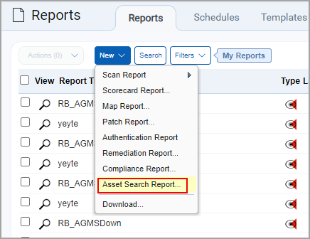 Asset search report