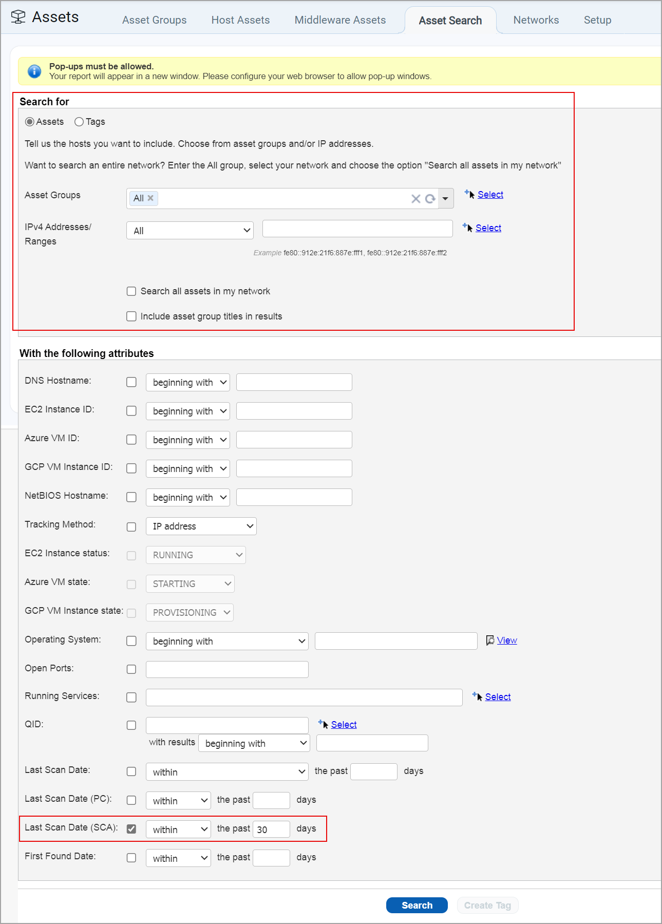 Asset Search option for finding SCA assets