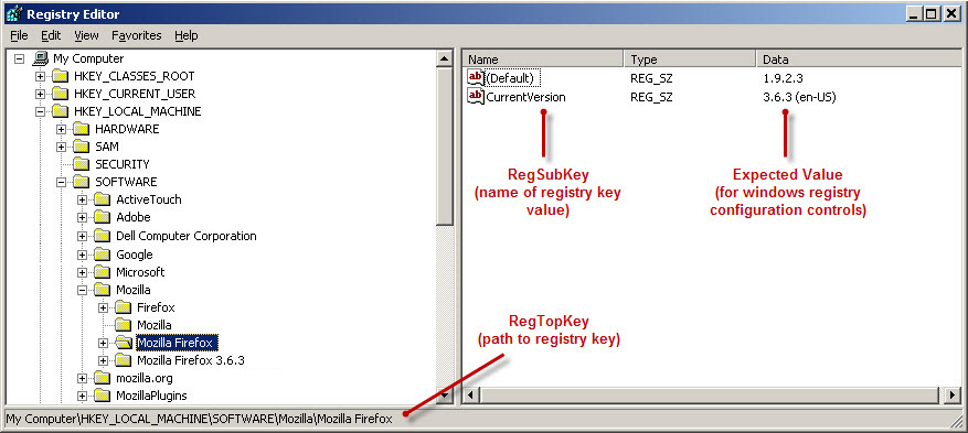 Windows Registry Editor window with RegSubKey and RegTopKey values