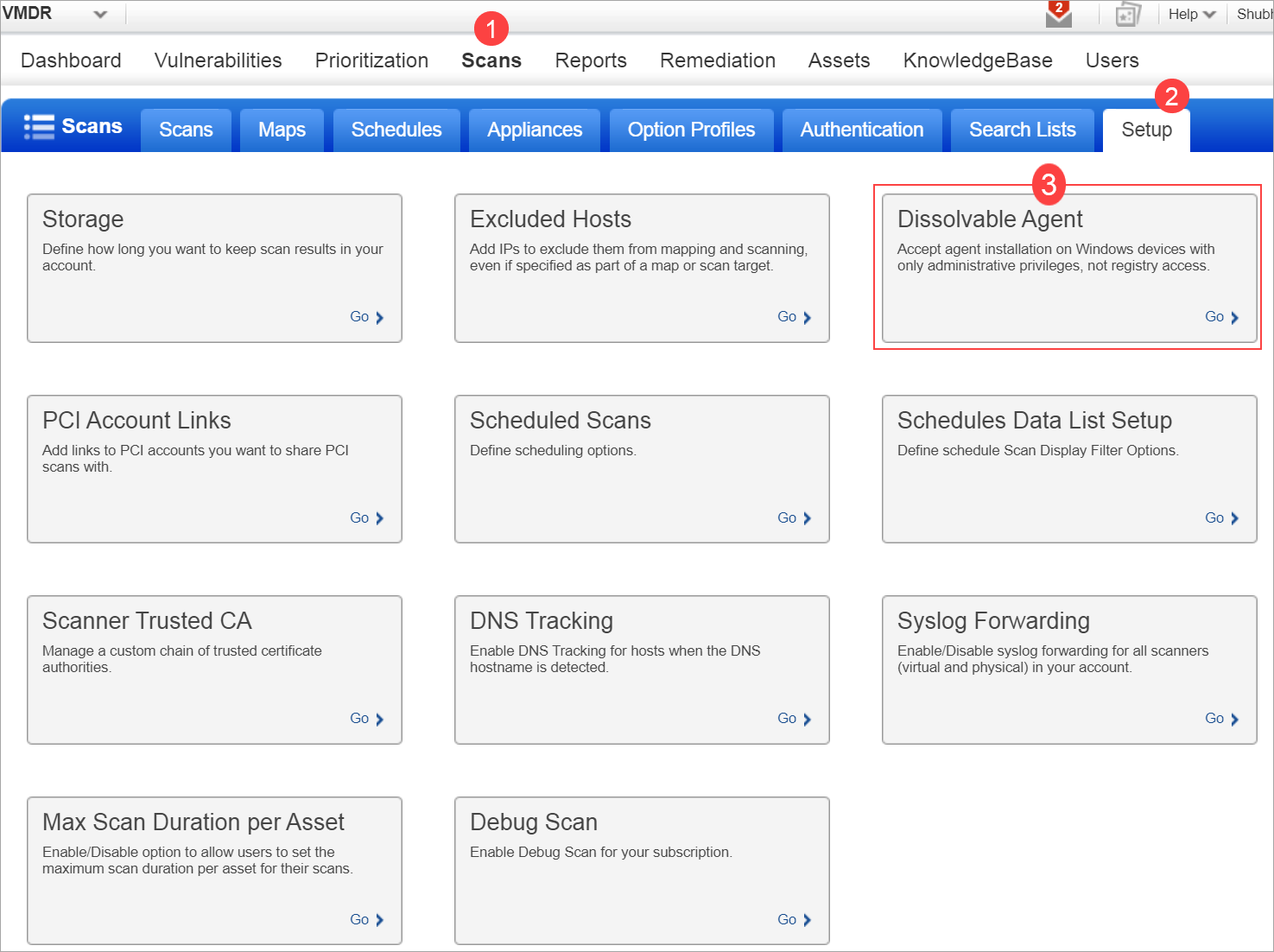 Dashboard of scan setup showing Dissolvable Agent.