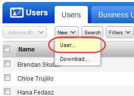 New User option on Users tab