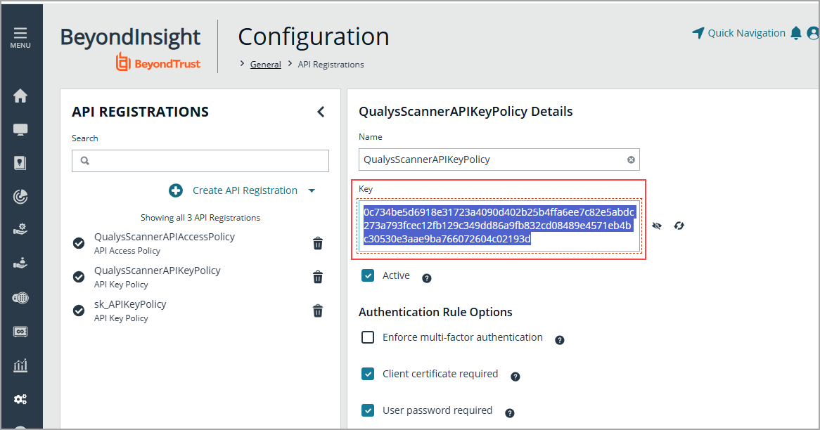 BeyondInsight UI Sample API Key String.