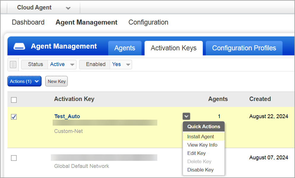 Install New Agent button on Agents tab in Cloud Agent